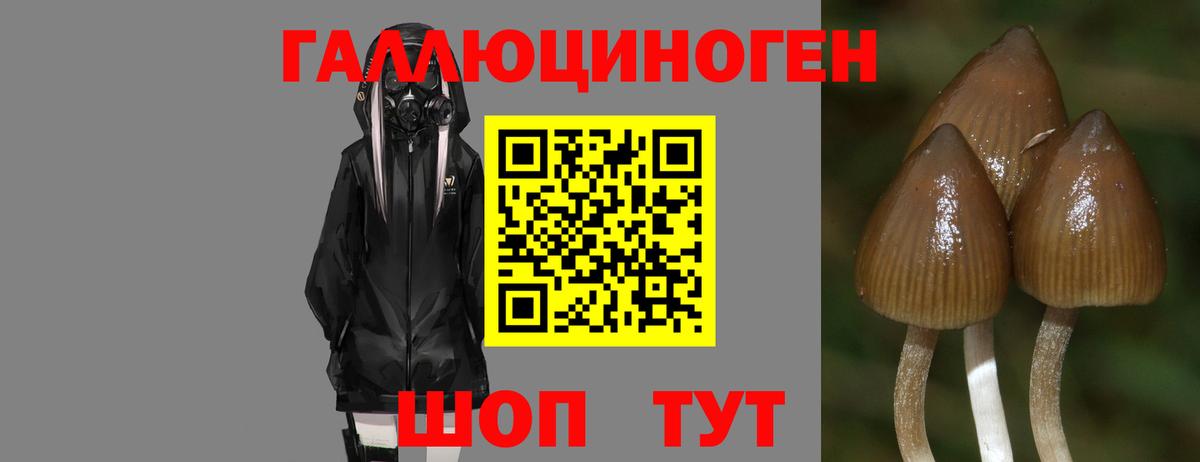 Чебоксары  Галлюциногенные грибы мицелий  Вход с VPN 